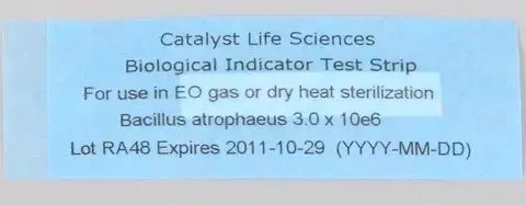 圖為菌片.webp.jpg 圖為菌片.webp.jpg